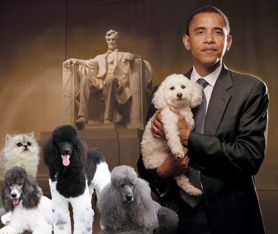 Practice Work: Presidental Puppies