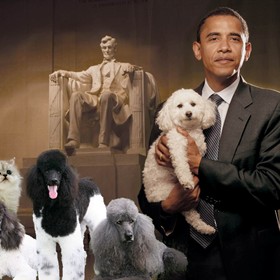 Practice Work: Presidental Puppies